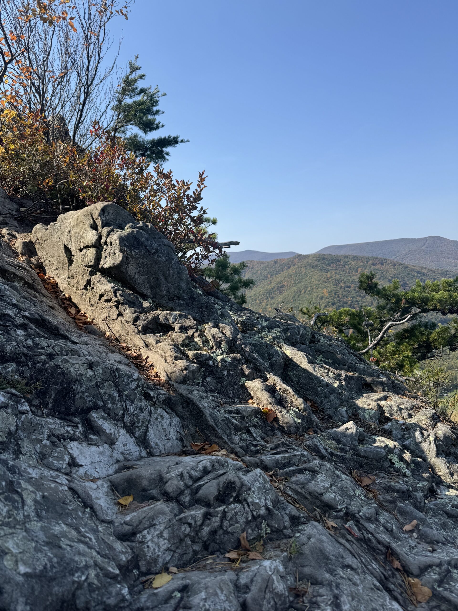 The Serene Beauty of Seneca Rocks Mountains in West Virginia USA