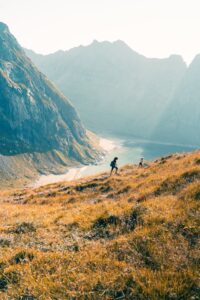 Habitual Balance Travel