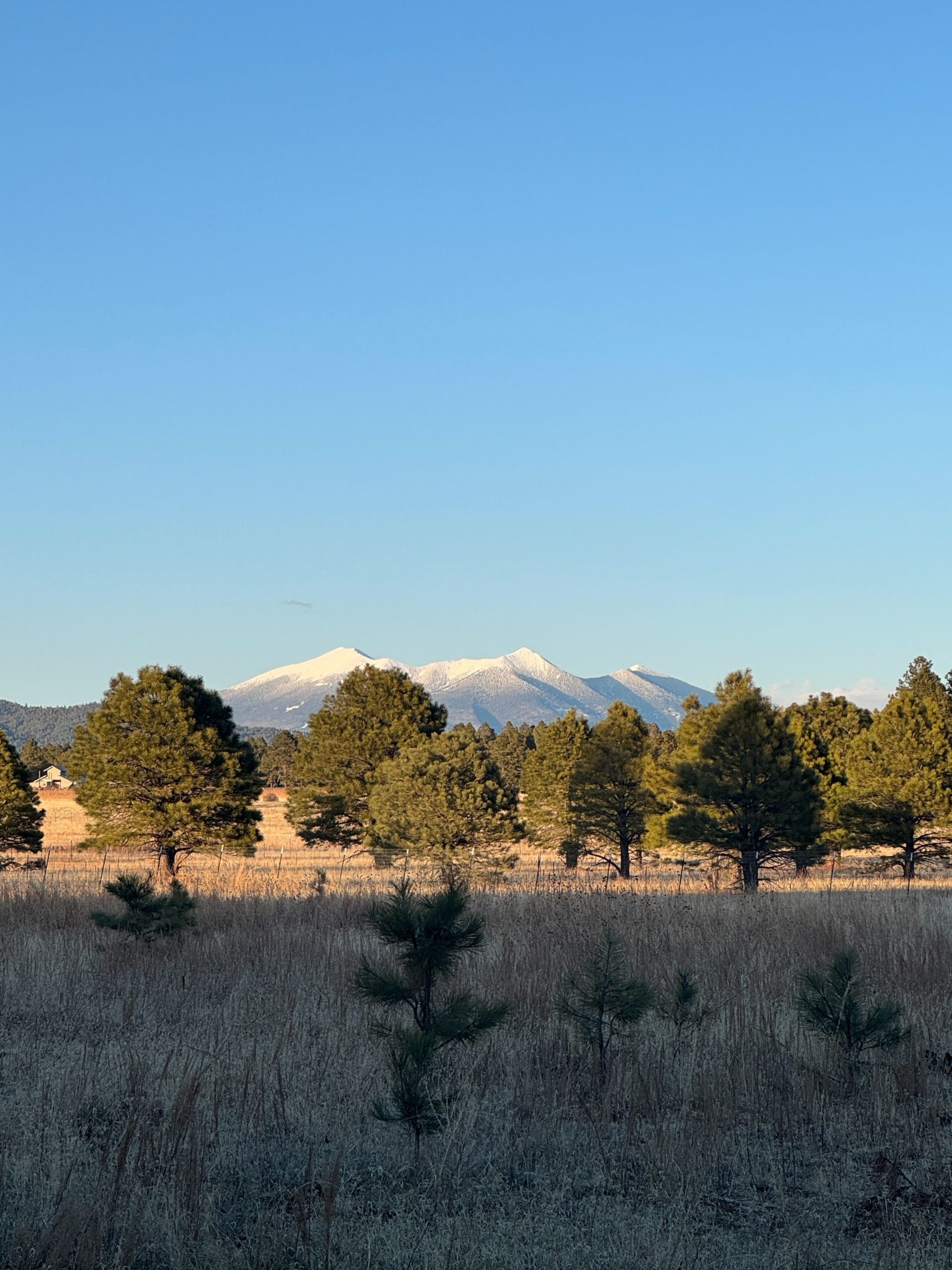 Humphreys Peak photo from our pre Havasupai Falls Hike