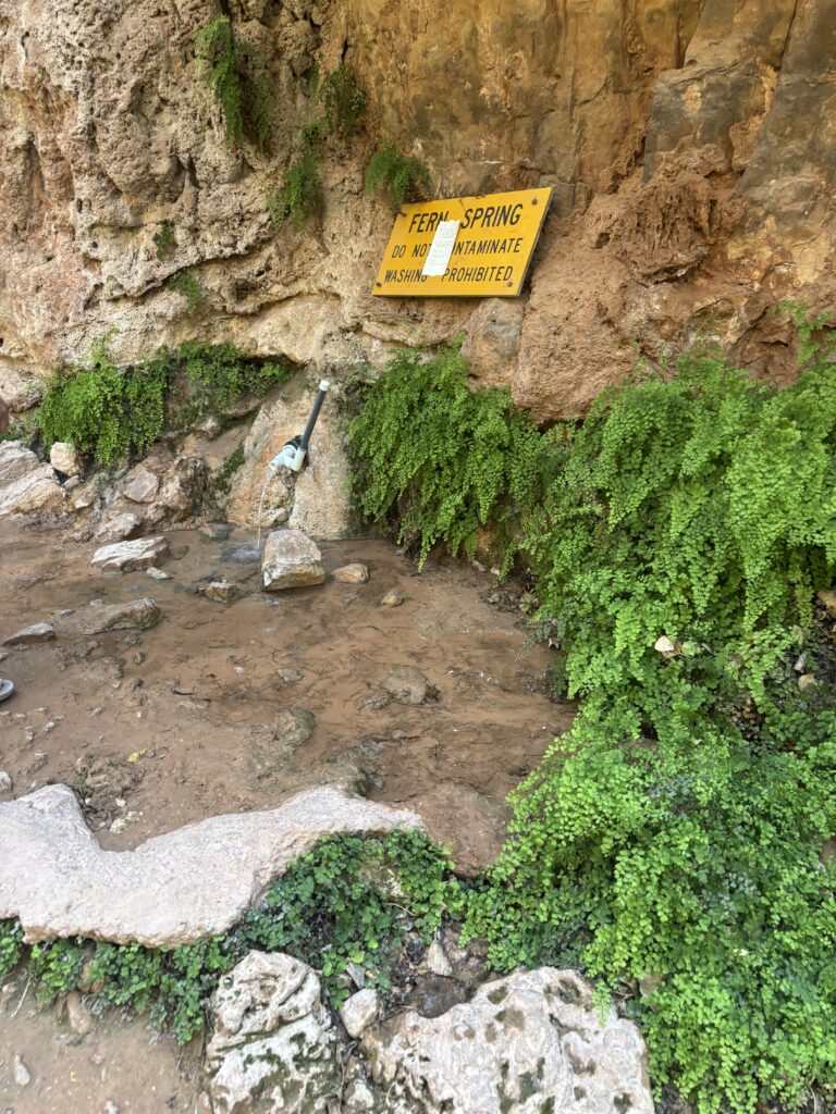 Washing prohibited sign at Havasu Falls