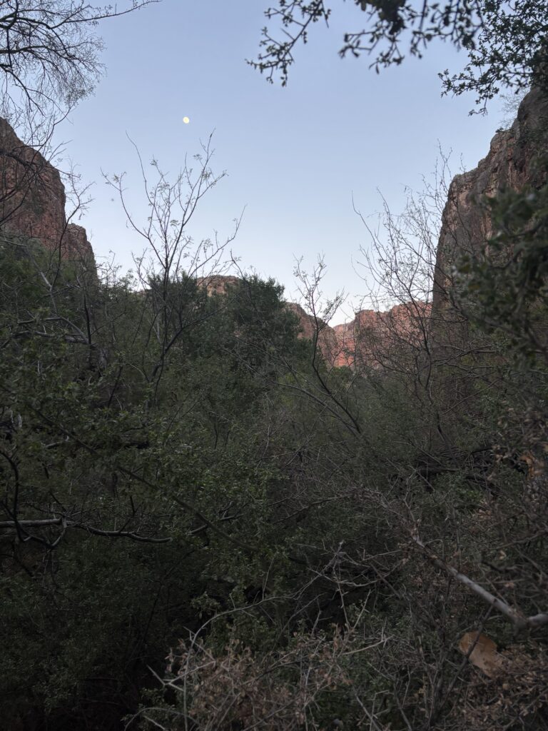 the moon over the grand canyon