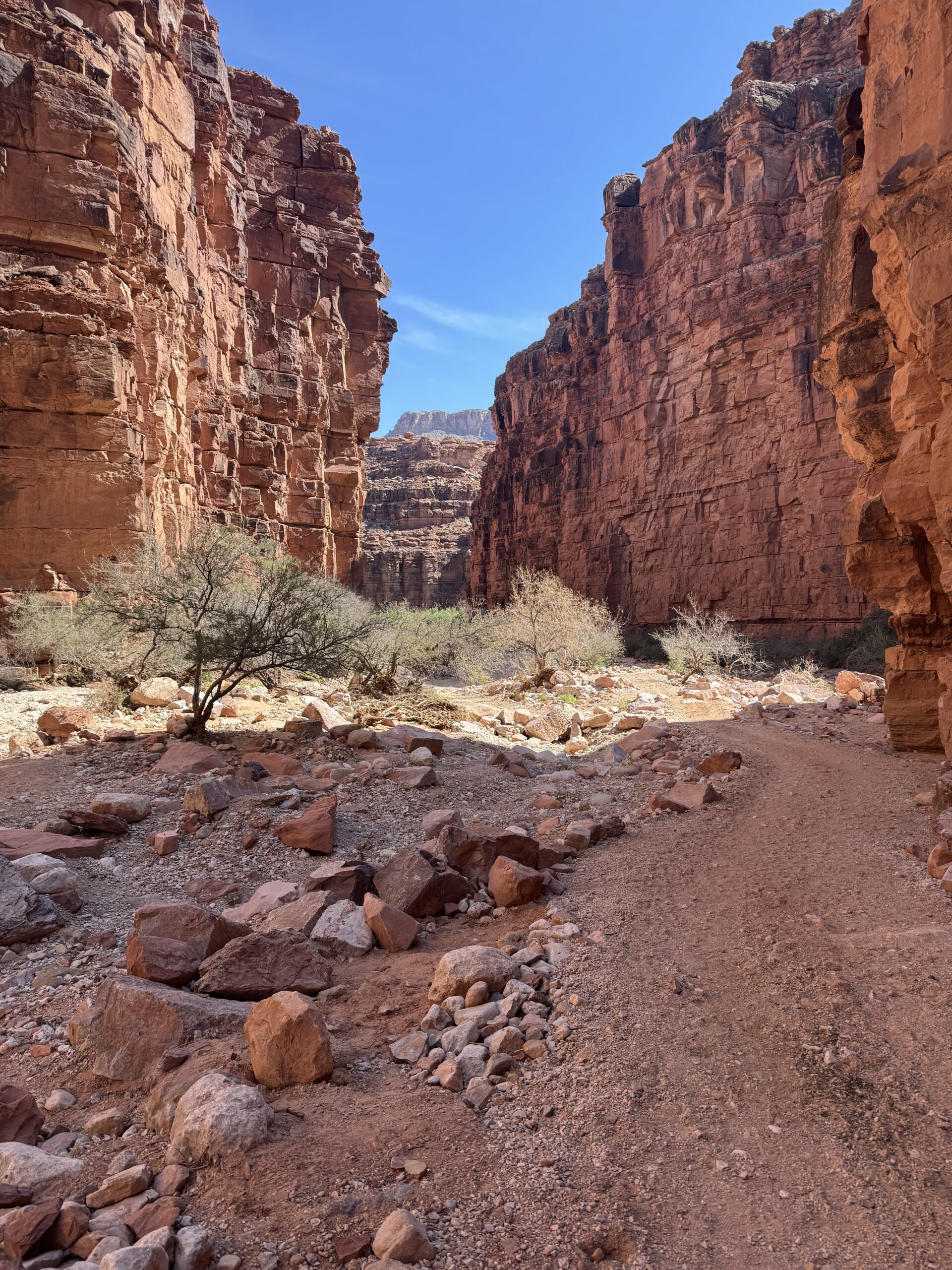 Canyon in Havasupai Falls Hike