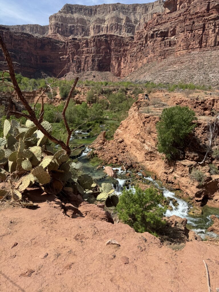 River at havasupai
