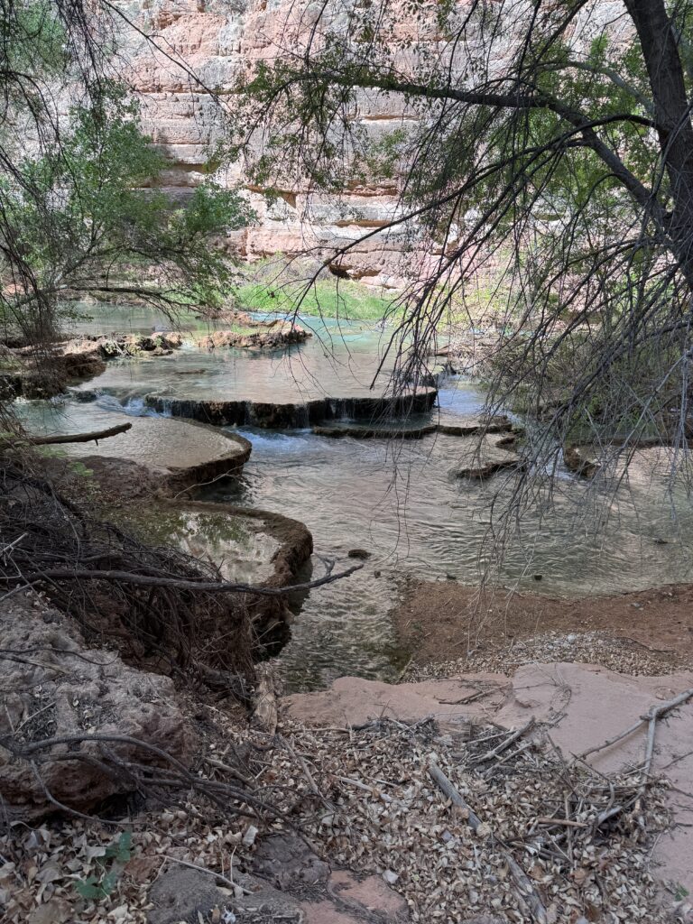 Another beautiful image on our hike