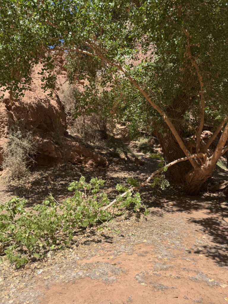 Resting spot on our trip
