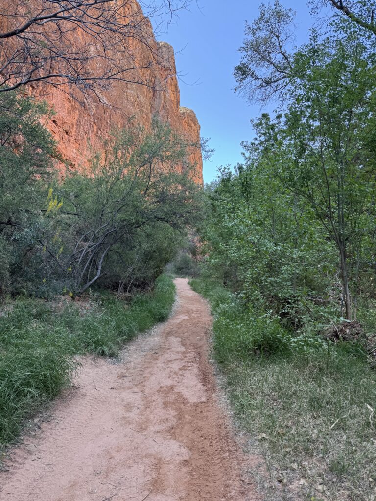 Backpacking through the Grand Canyon’s towering cliffs