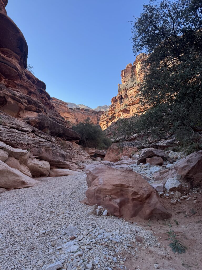 View of Sedona red rocks from scenic overlook