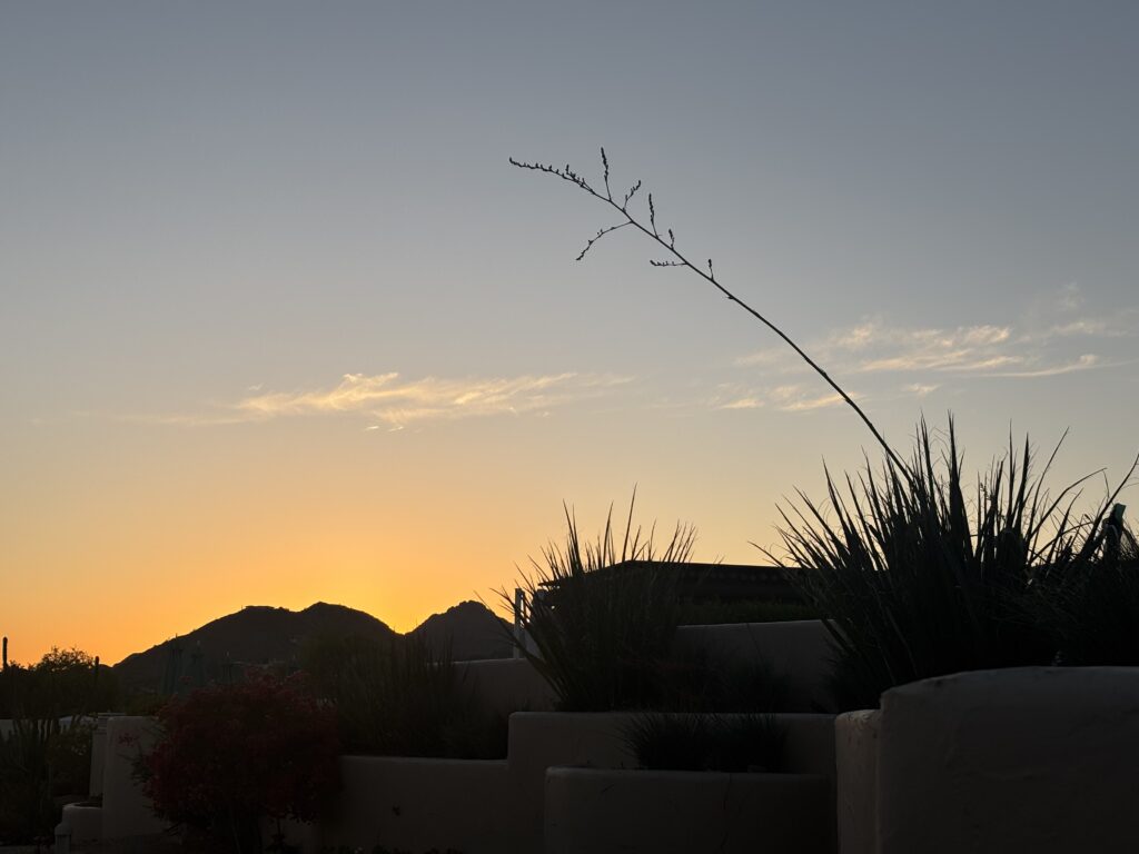 Sunset in Phoenix