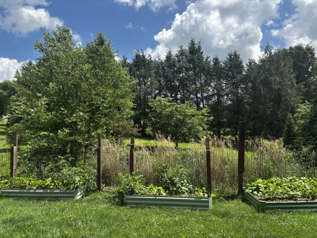 Planters we found on Amazon