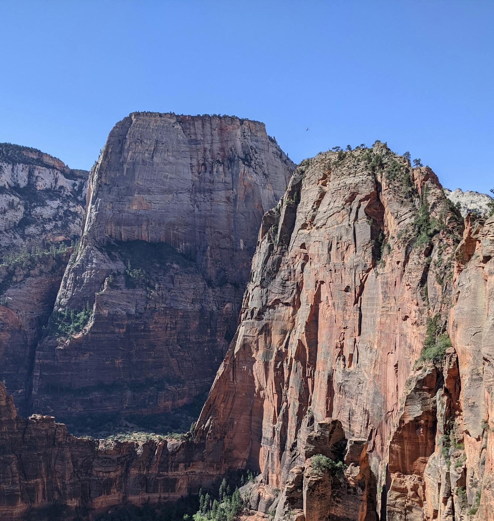 angels landing