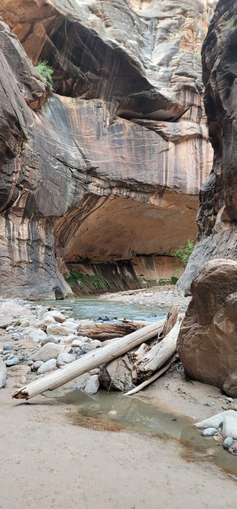 POV from The Narrows