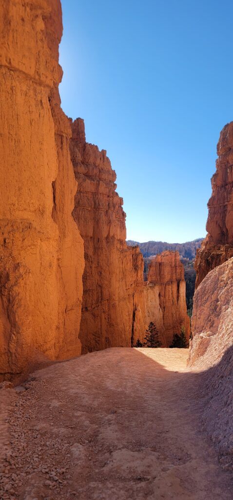 Descent into the canyon