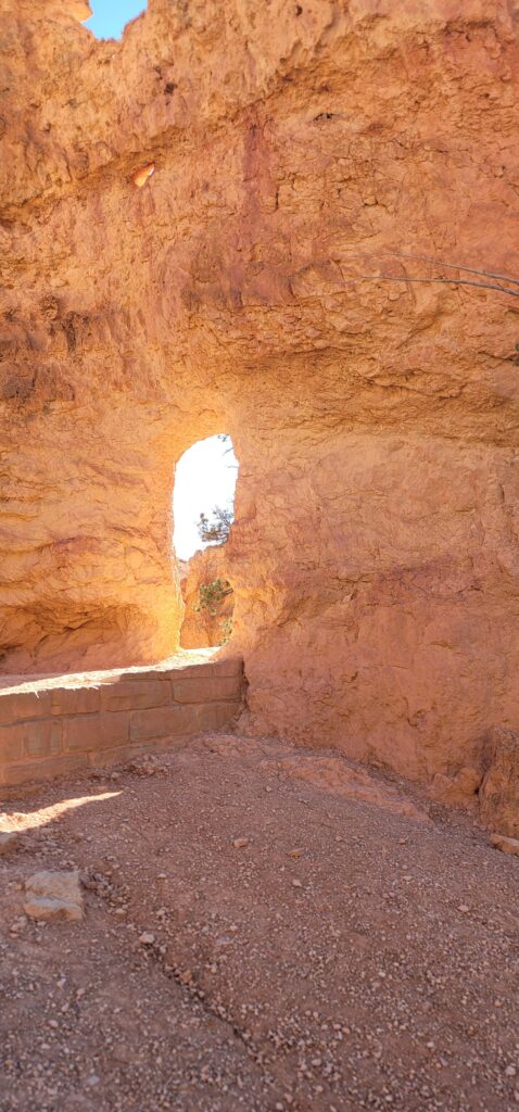 On the Bryce Canyon Trail