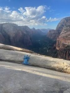 Dog toy at Angels Landing