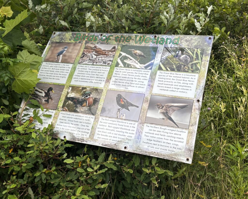 Birds of the Wetland signs