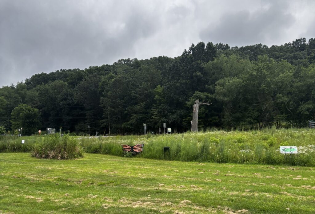 Field in Rachel Carson Park