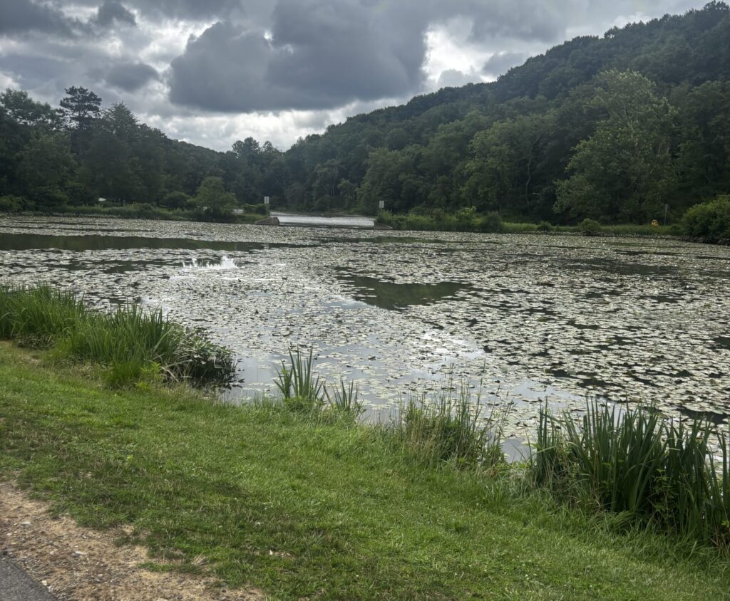 Cloudy day over the water in the park