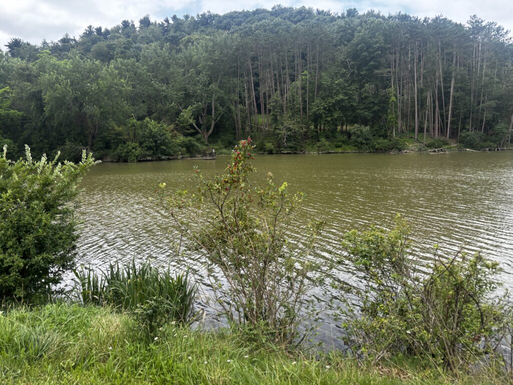 View of the water in North Park