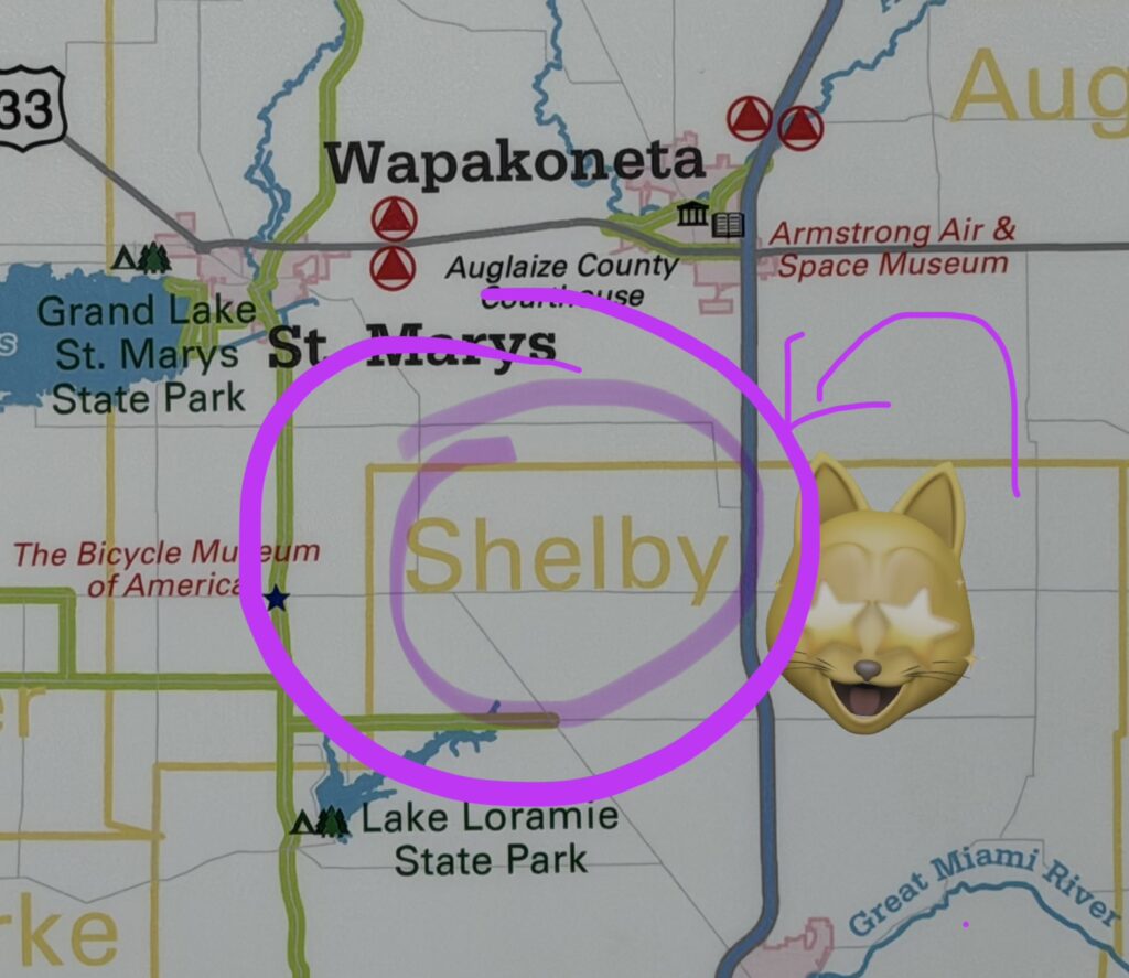 Its Shelby!