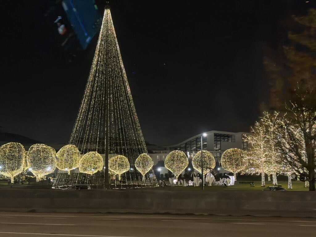 Christmas lights and trees in Nashville TN