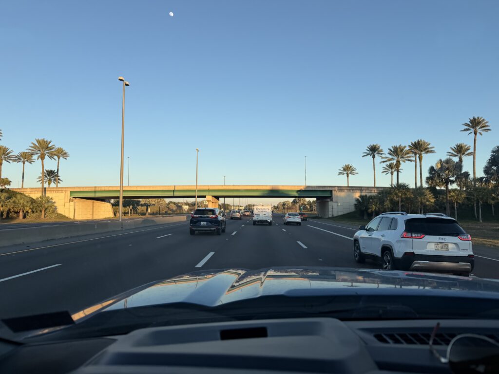 Palm trees from the Florida road trip