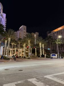 Miami Beach at night