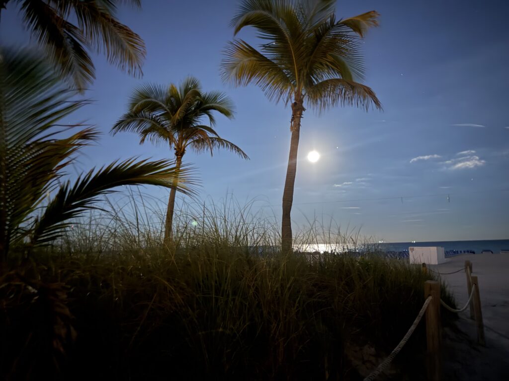 The moon at night over the beach