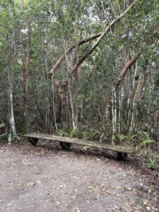 naturalistic bench in the park