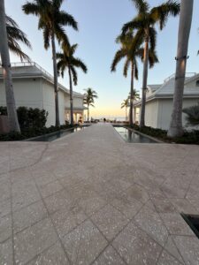 Sunrise and palm trees