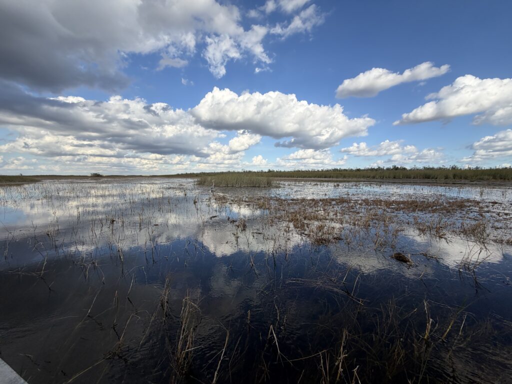 Everglades Safari Park Review: Our Florida Road Trip Experience