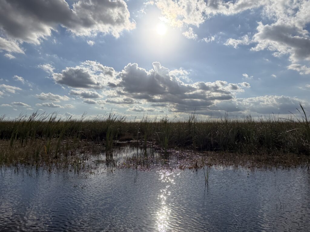 One of our favorite pictures from our Everglades Safari Park review