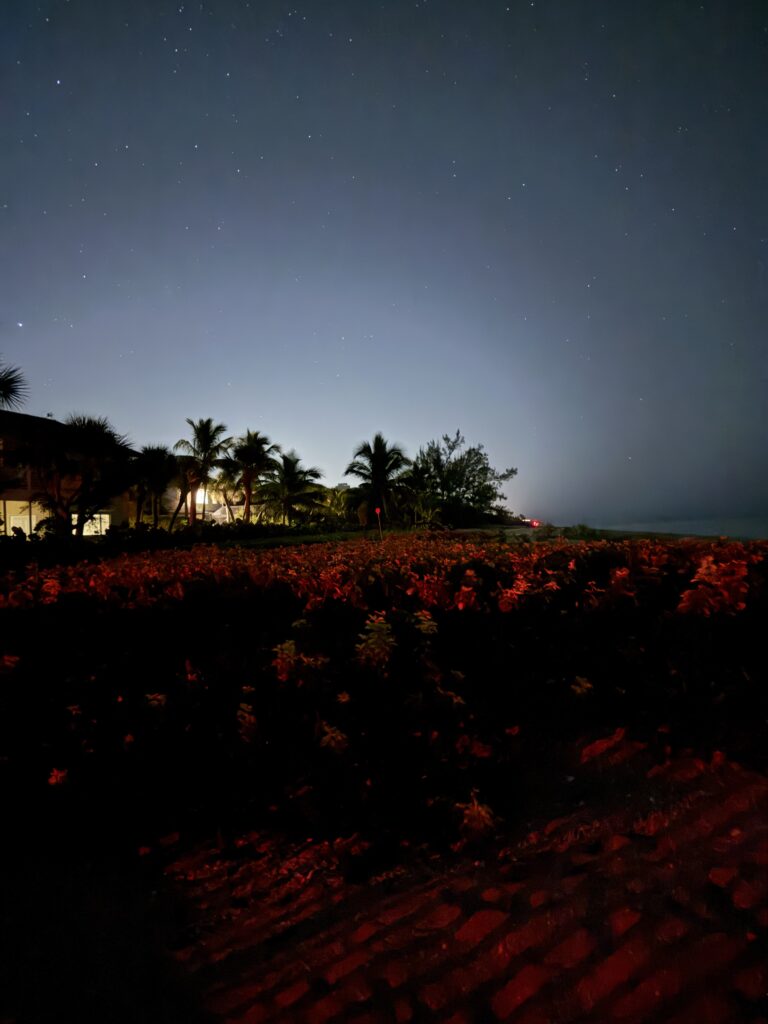 Busch Gardens Tampa in January review sky at night