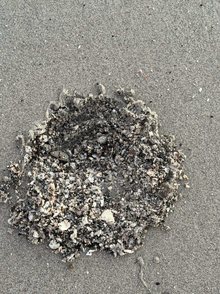 dense shells