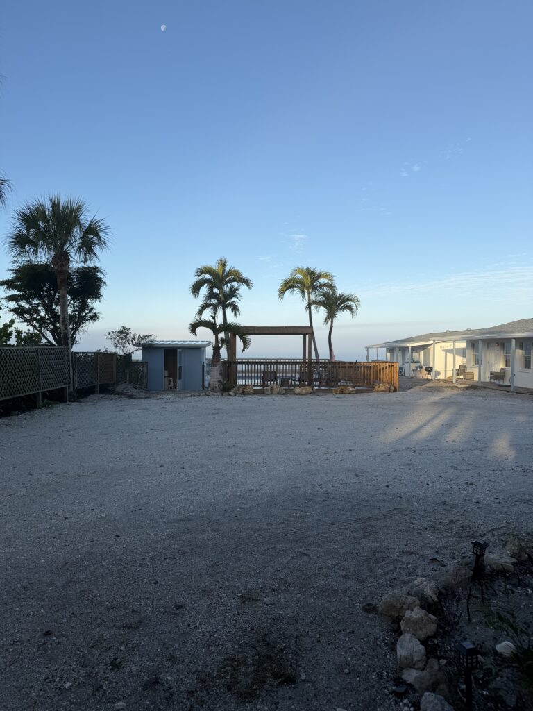 Beach in the morning