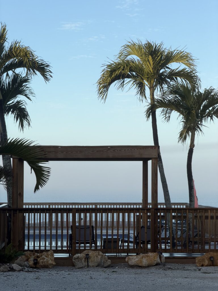 Palm trees by the pool in the early day