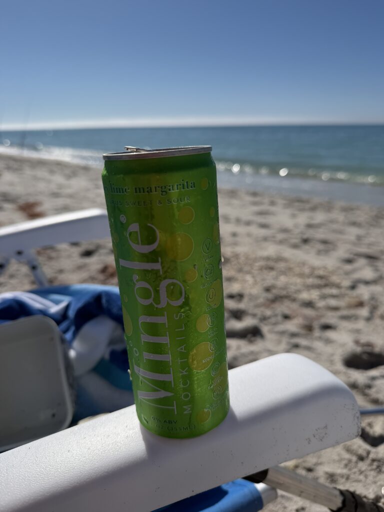Mingle Can on beach chair