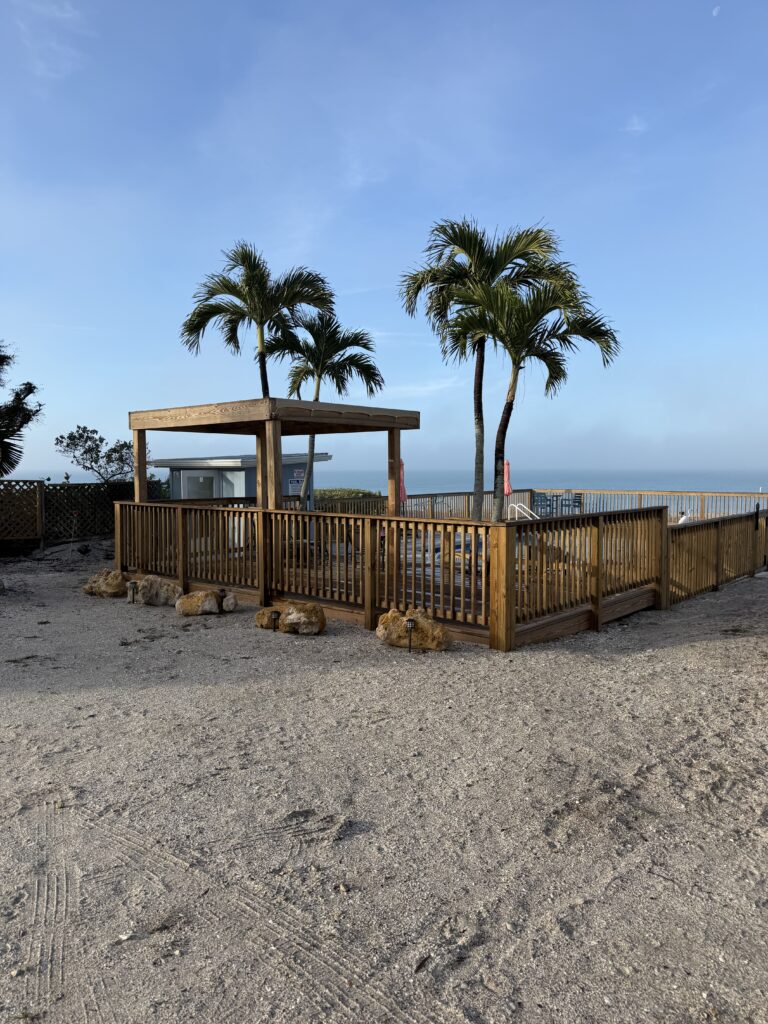 Palm trees behind a fence at the beach