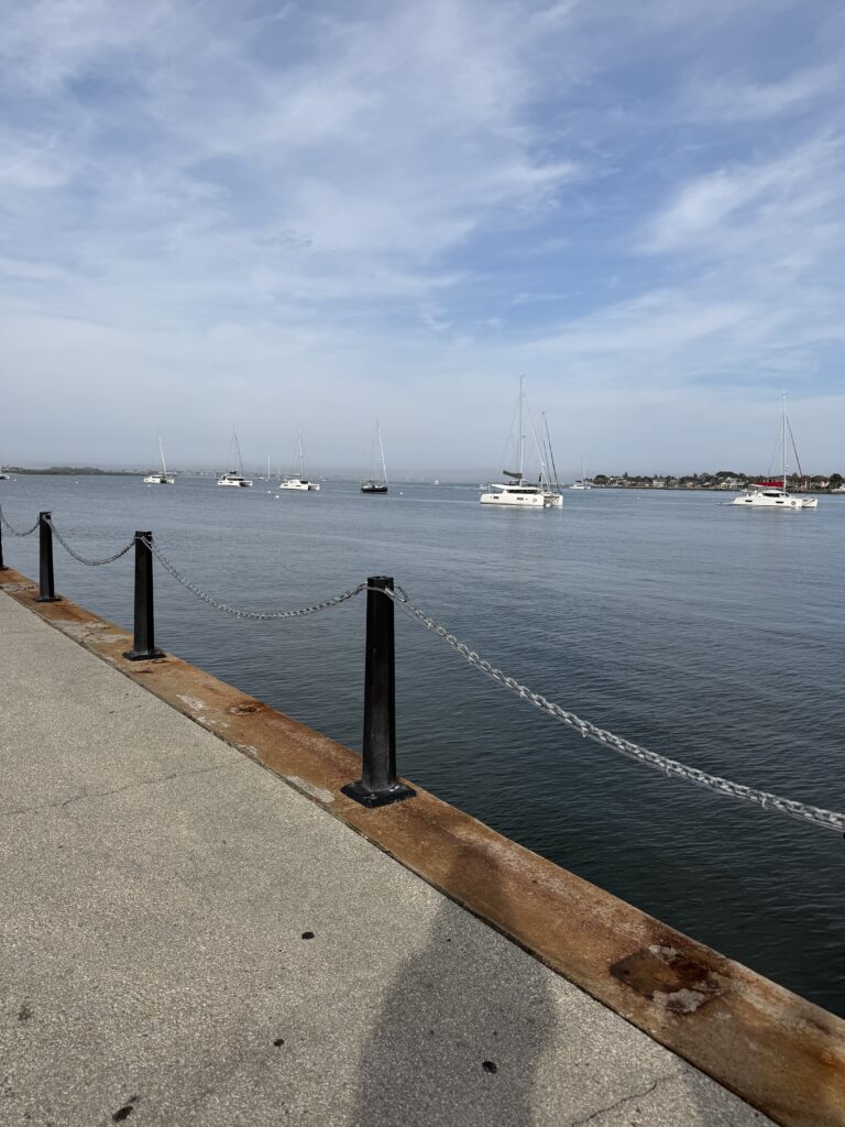 Ships in the water