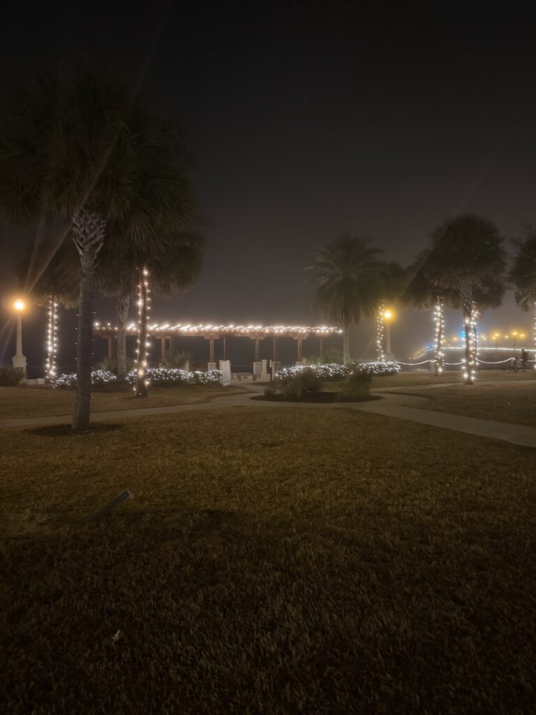 Christmas lights