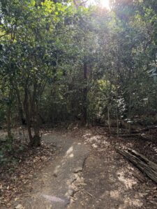 Pathway