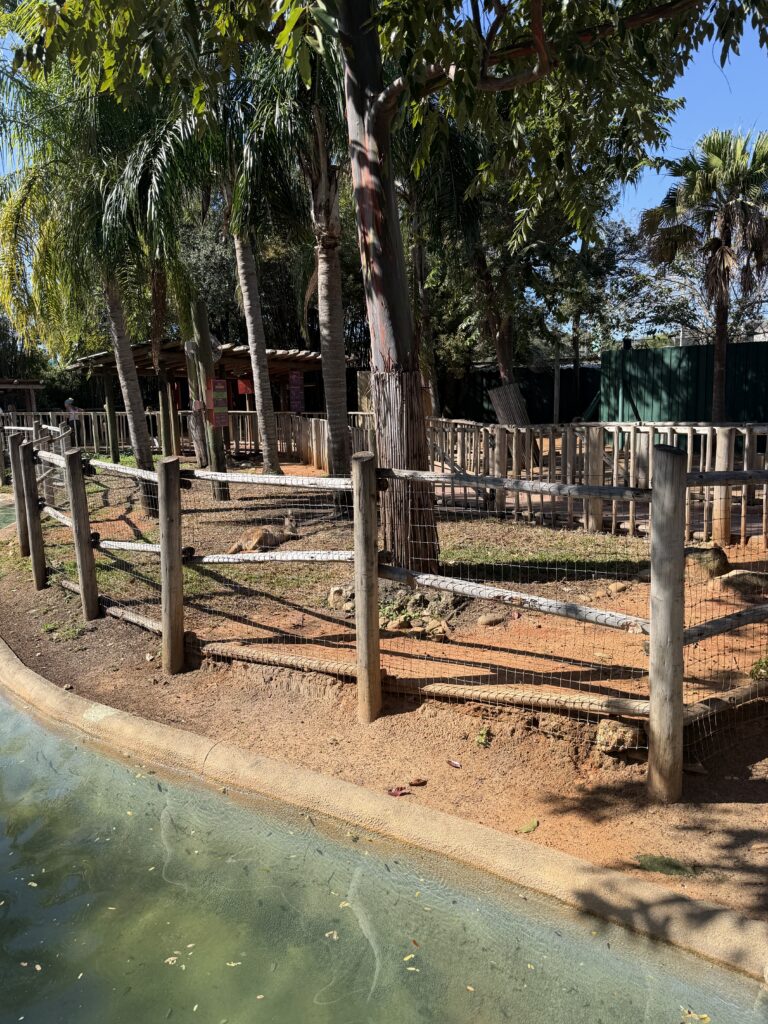 Unique animal habitat at Busch Gardens