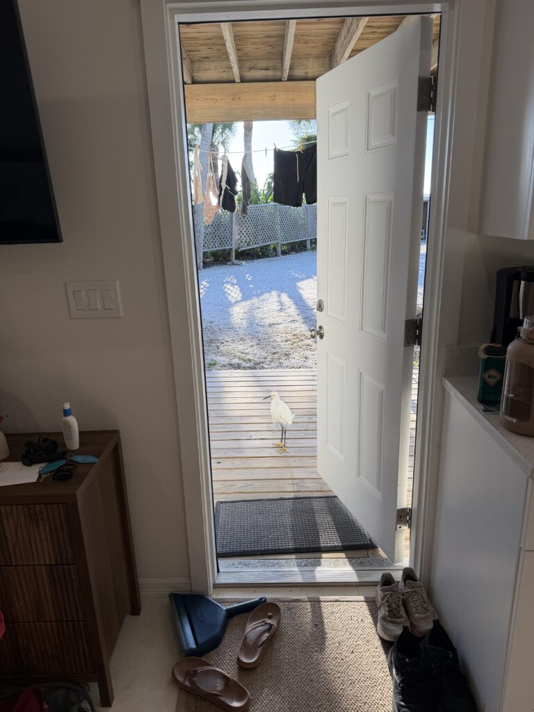 Door to the beach open with clothes drying outside