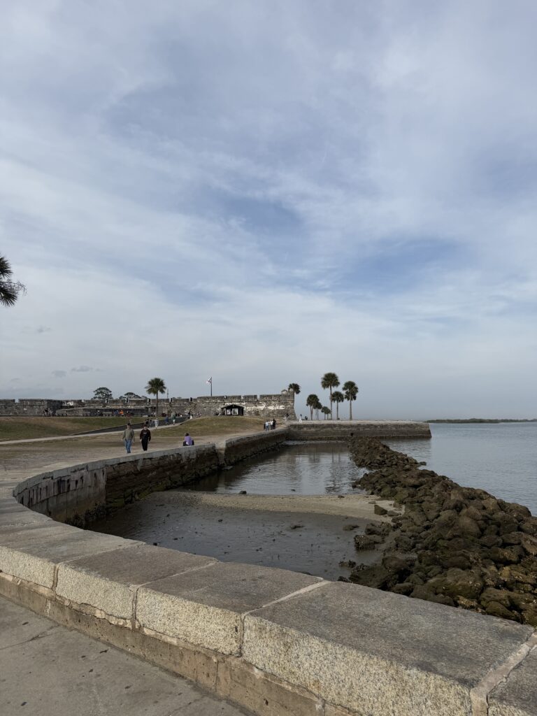 Small pier by palm trees