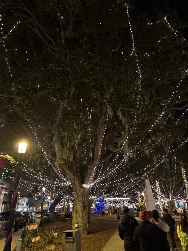 Christmas lights in a tree