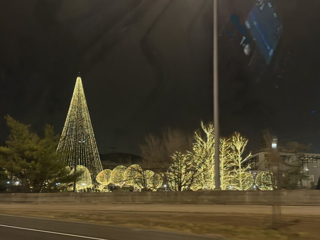 Christmas lights we saw on our costly southern road trip