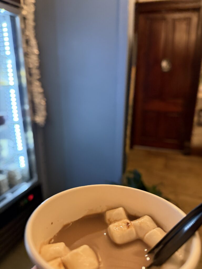 hot chocolate with marshmellows