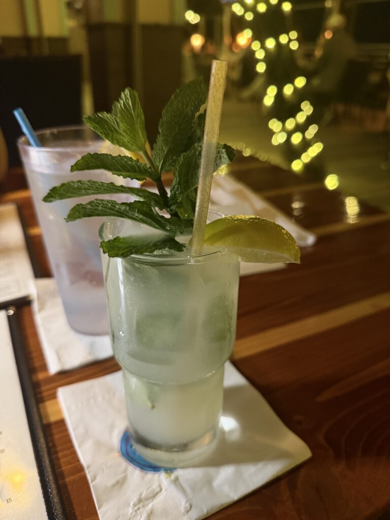 a tropical drink with lemon