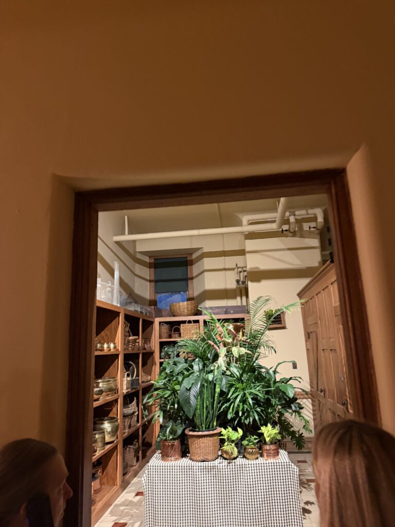 a look into a room at Biltmore on our tour