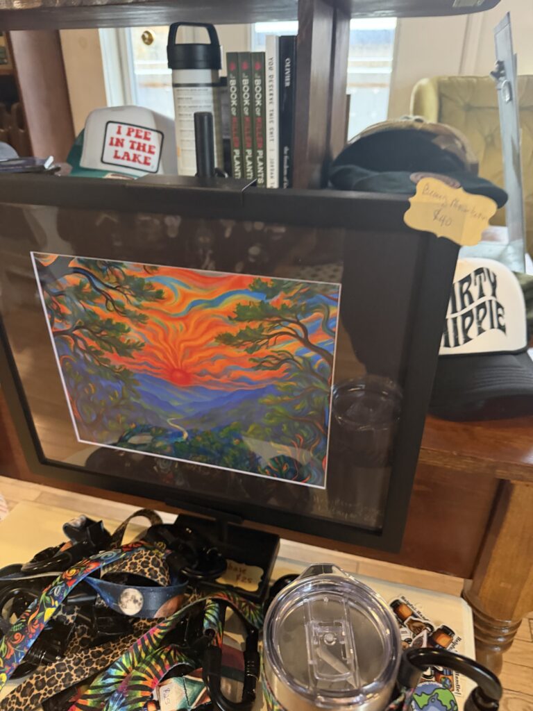 Cool painting we saw in the gift shop.