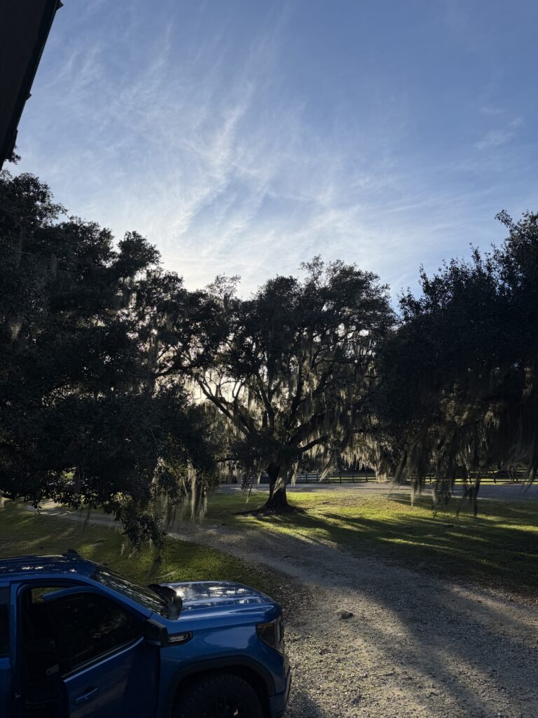 Southern road trip